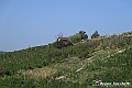 VBS_5771 - C'è un mare di velluto verde! E tu che sognavi di andare lontano... Quanta meraviglia, quì!